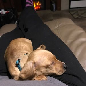 Meet your Posher, Libby